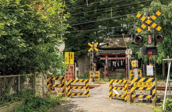 낮과 밤의 분위기가 차이가 극명하다는 곳