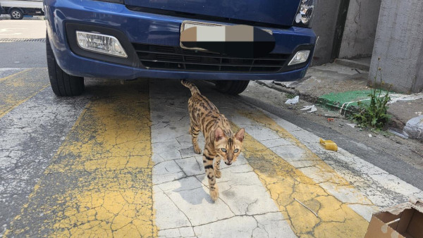 작년 이맘때쯤 본 친구인데