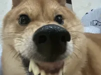 다채로운 얼빡