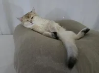 우리집 주인님
