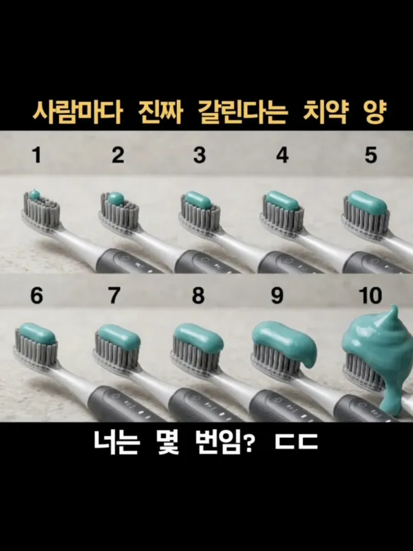 치약 짜는 양 진짜 사람마다 극단적으로 갈리는 듯