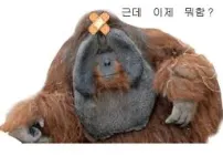 롤 너무 일찍끝나니까 볼게없네