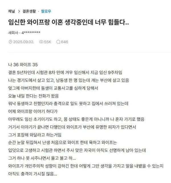 부산간 남편한테 피자사오라한 임산부