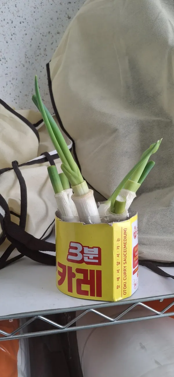 이래서 집에 식물 키우는 구나
