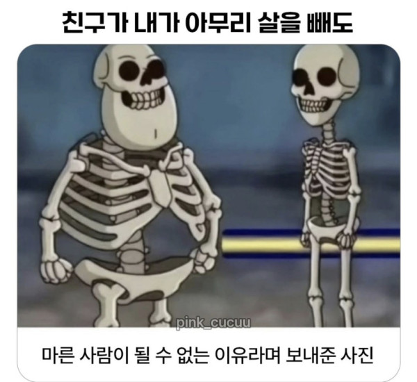 아무리 살을 빼도 마른 사람이 될수 없는 이유