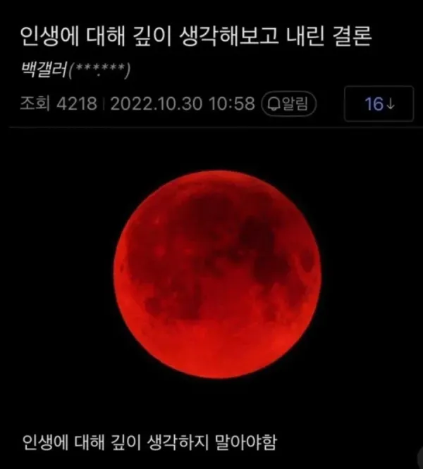 인생에 대해 깊이 생각해보고 내린 결론