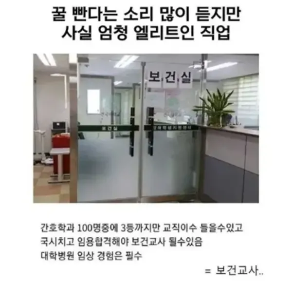 꿀빤다고 하지만 실은 엘리트 직업