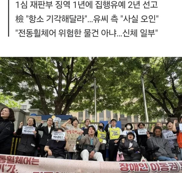 전장연 전동 휠체어는 위험한 물건 아니다
