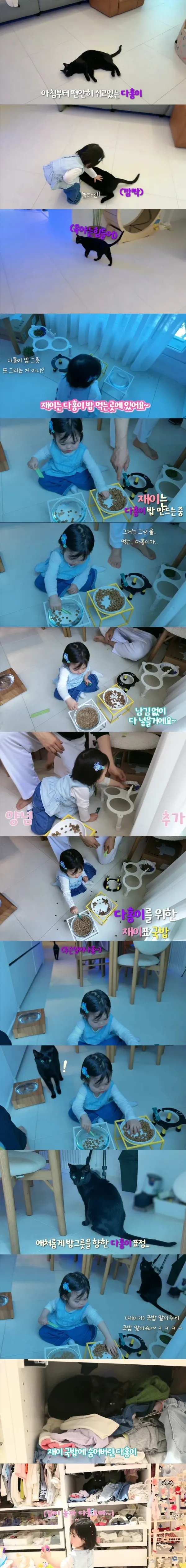 박수홍네 고양이 다홍이 근황