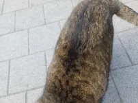 할미 건강하세유