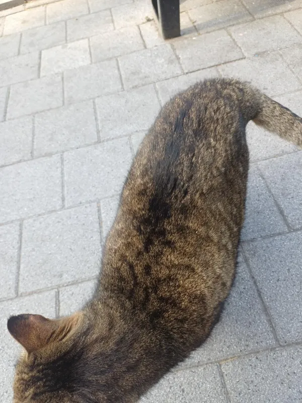 할미 건강하세유