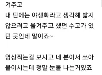 시골 인심이 뭐 이렇게 야박하냐고 따지는 아줌마들