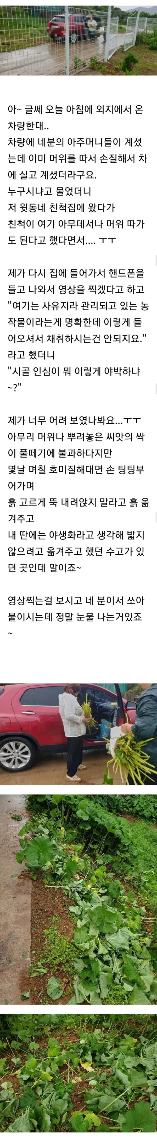 시골 인심이 뭐 이렇게 야박하냐고 따지는 아줌마들