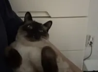 역변