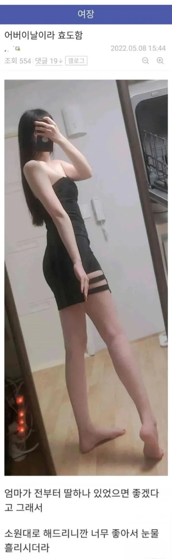 어버이날 효도한 디씨인 인증샷 ㅗㅜㅑ