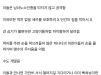 여행객은 잘 모르는 캐나다 맹수