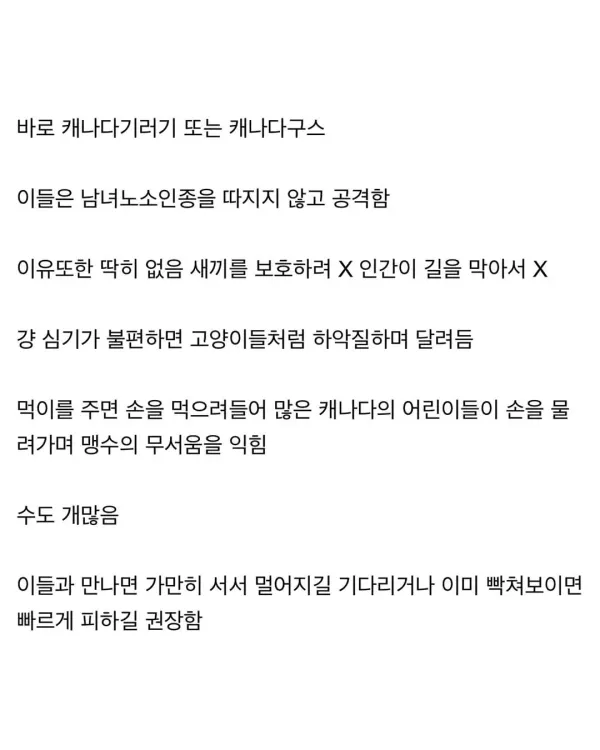 여행객은 잘 모르는 캐나다 맹수
