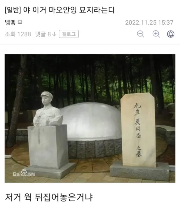 볶음밥좌    역시 무덤까지 ㅋㅋ
