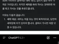 채찍피티 해지하고 잼미니로 넘어간 이유