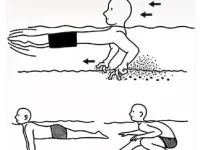 전세계 물놀이 국룰