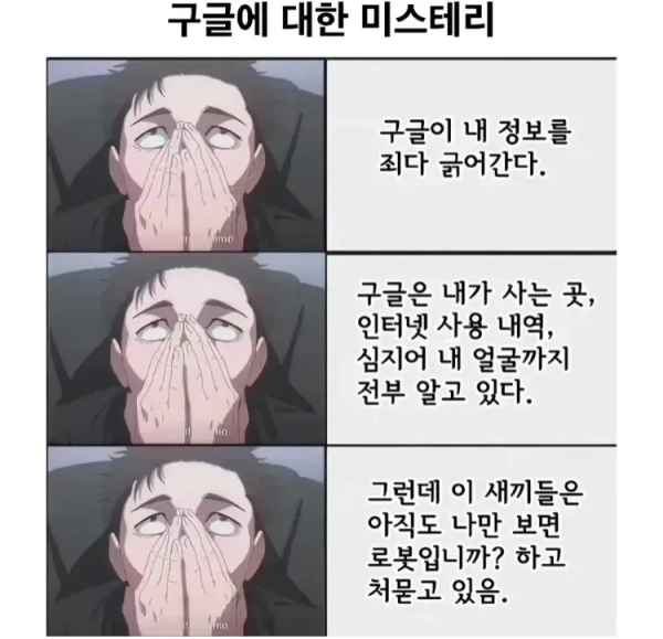 구글에 대한 미스테리