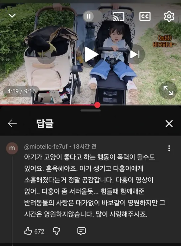 슬슬 시동걸리는 박수홍 유튜브