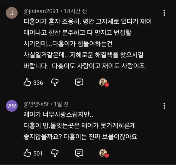 슬슬 시동걸리는 박수홍 유튜브