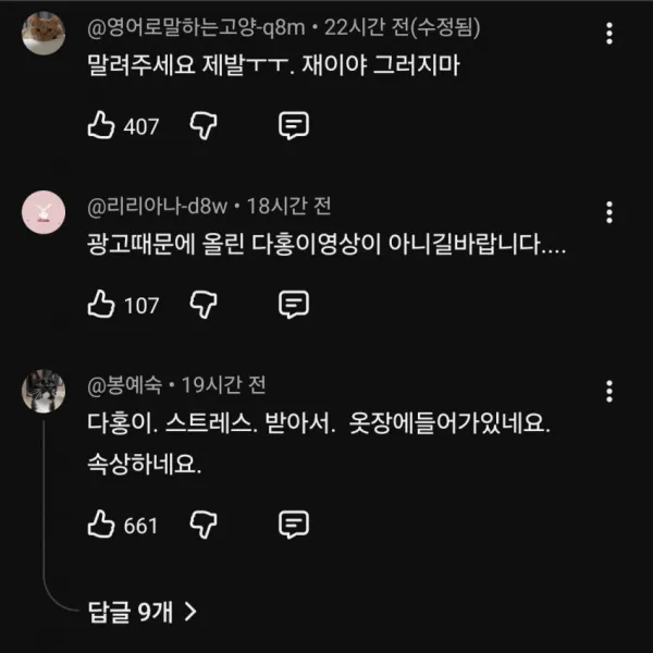 슬슬 시동걸리는 박수홍 유튜브