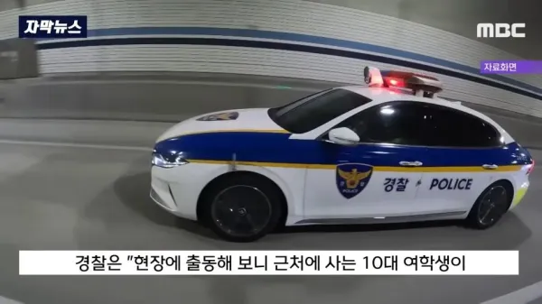 보배드림 고속도로 방음터널 귀신의 정체