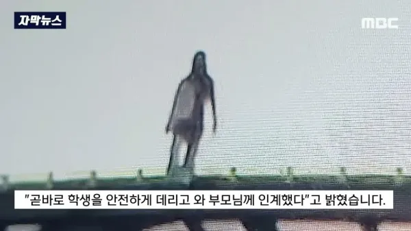 보배드림 고속도로 방음터널 귀신의 정체