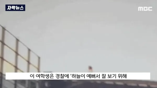 보배드림 고속도로 방음터널 귀신의 정체