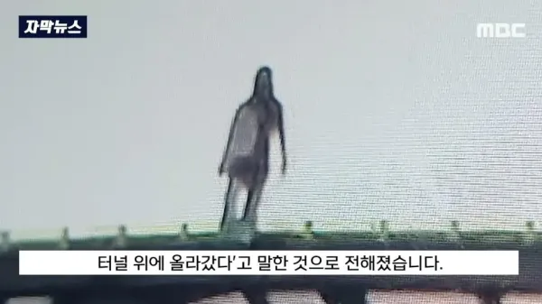 보배드림 고속도로 방음터널 귀신의 정체