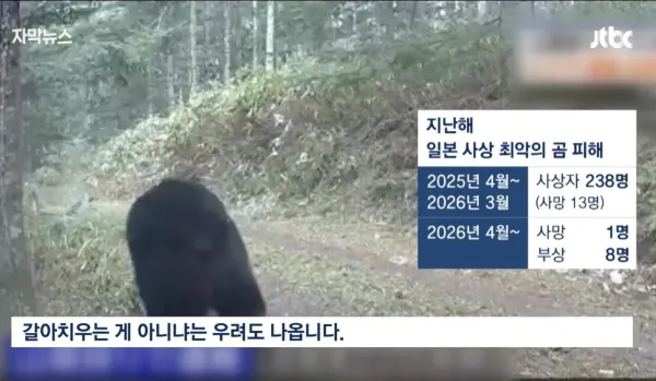 지리산 반달곰,이젠 복원 넘어 공존법 찾는다