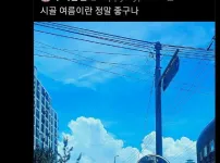 여러분 저는 고양이가 아닙니다