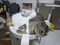 동생의 고통...