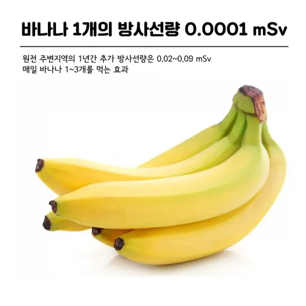 바나나의 위험성 ㅎㄷㄷ