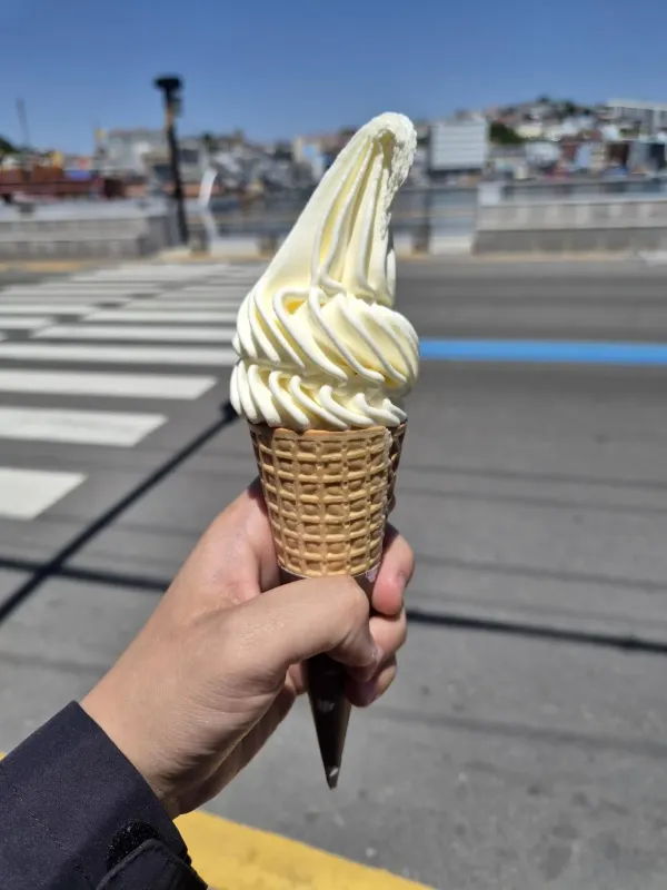 나홀로 통영