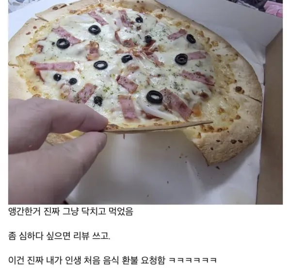 어떤 사람이 먹었다는 반도체 피자.jpg
