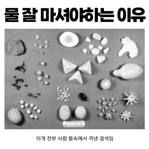 물을 잘 마셔야 하는 이유