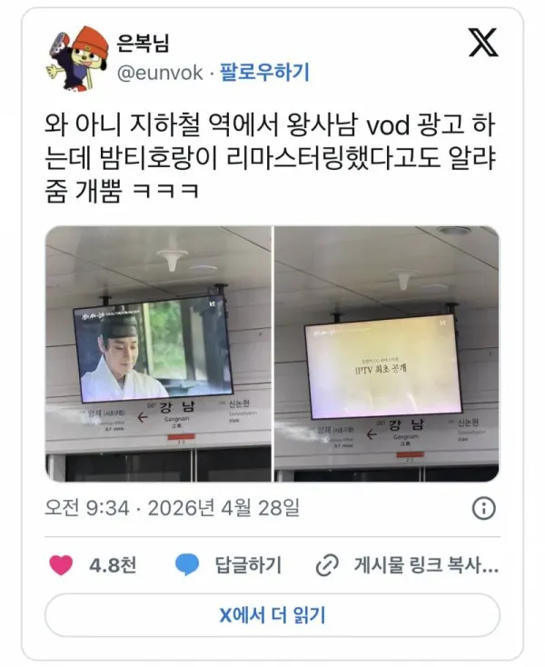 왕사남 밤티 호랑이 성형완료 애프터