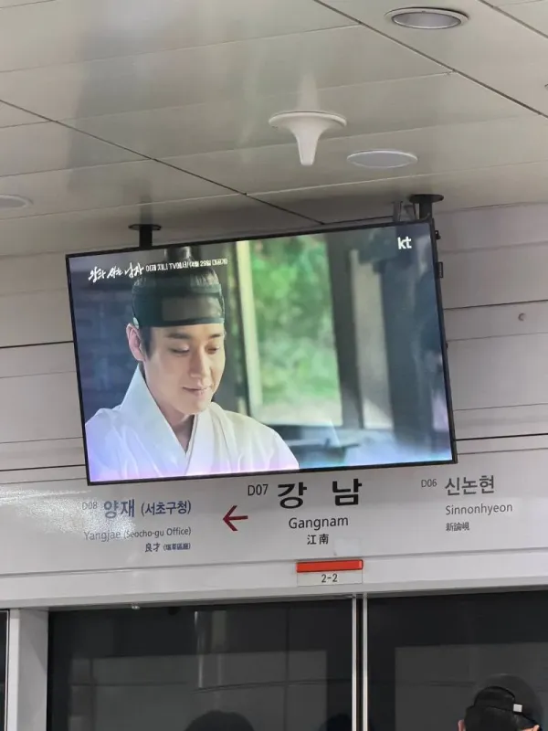 왕사남 밤티 호랑이 성형완료 애프터