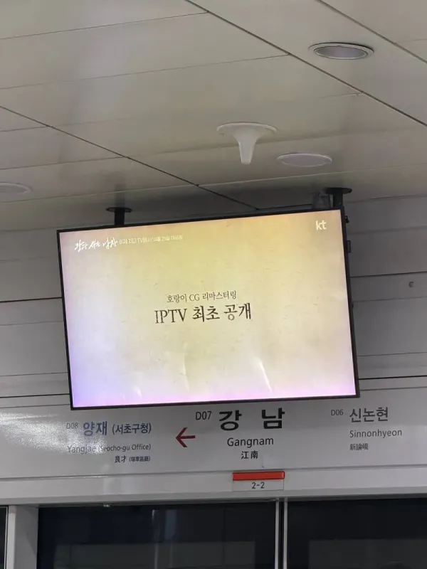왕사남 밤티 호랑이 성형완료 애프터