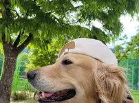 힙힙 합합 골댕이