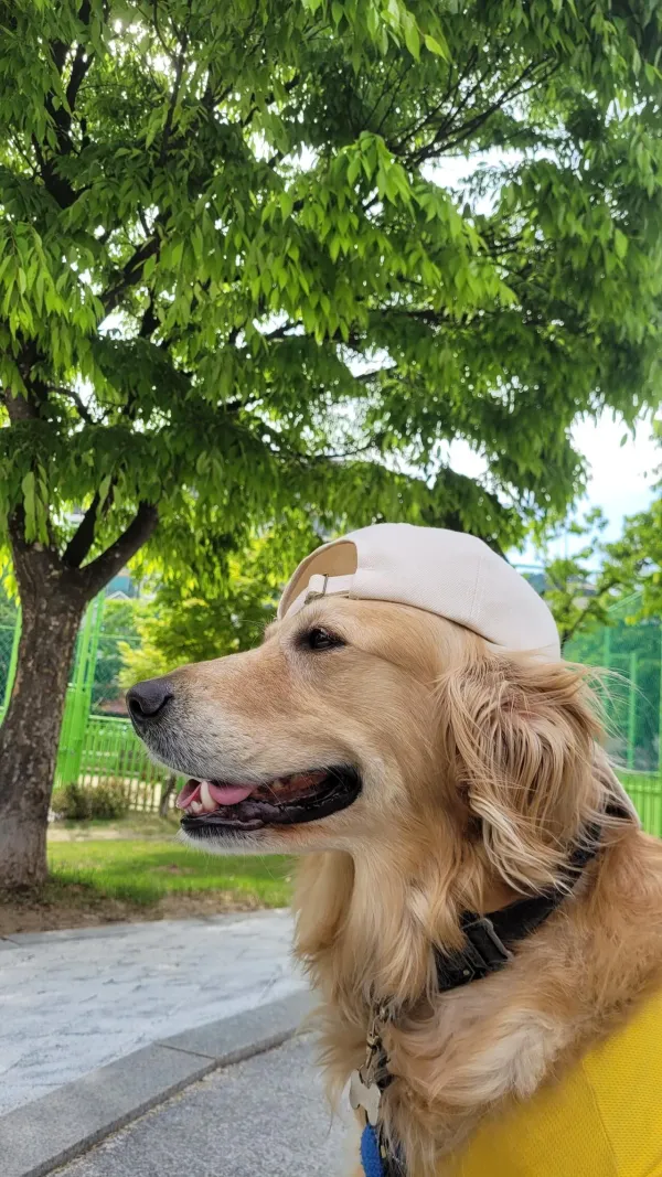 힙힙 합합 골댕이