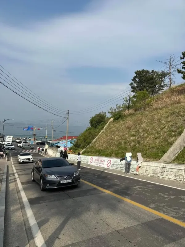 현재 난리났다는 동해 어디삼거리 근황