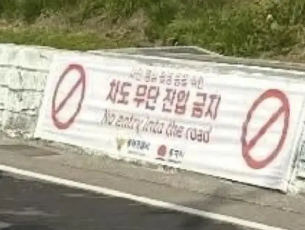 현재 난리났다는 동해 어디삼거리 근황
