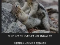 그..그만둬!! 난 수컷이라고!!