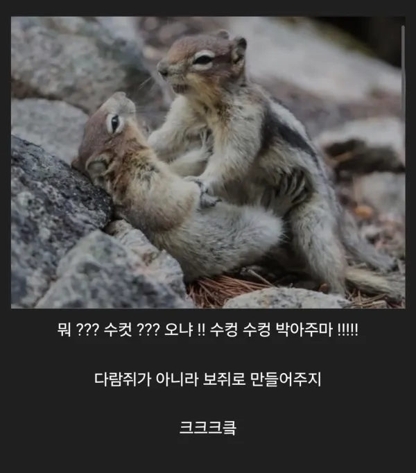 그..그만둬!! 난 수컷이라고!!