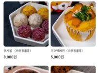 강아지를 위한 배달 음식