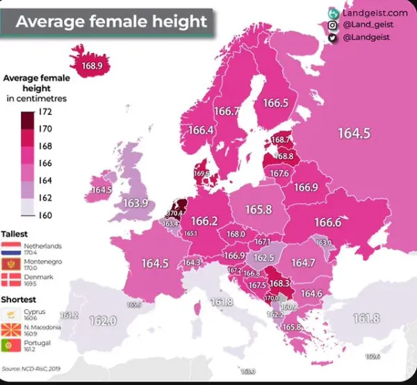 유럽 평균키 ㄷㄷ